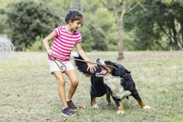 Managing a Dog That Plays Too Rough: Effective Strategies to Stop Aggressive Play