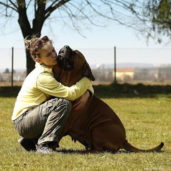 Teach Your Dog to Come When Called: A Simple, Effective Guide
