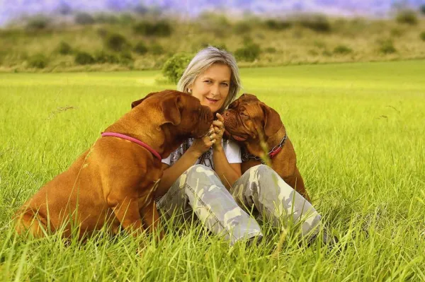 Teach Your Dog to Come When Called: A Simple, Effective Guide