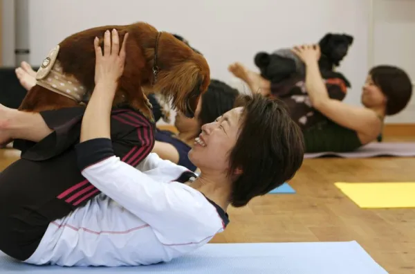 Doga: Unlocking the Health Benefits of Yoga for Your Dog