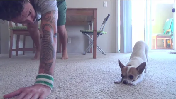 Doga: Unlocking the Health Benefits of Yoga for Your Dog