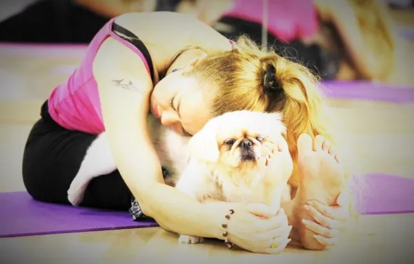 Doga: Unlocking the Health Benefits of Yoga for Your Dog