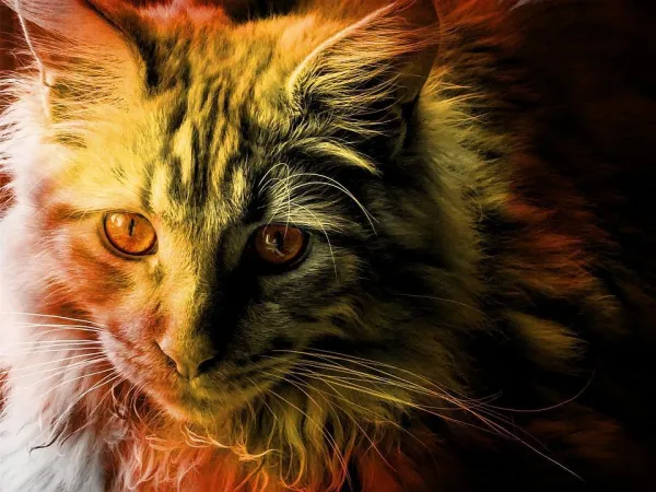 Catnip: Properties, Benefits, and Safe Use for Cats