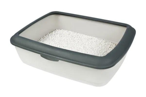 Mastering Cat Litter Training: A Guide to Quick, Stress-Free Results