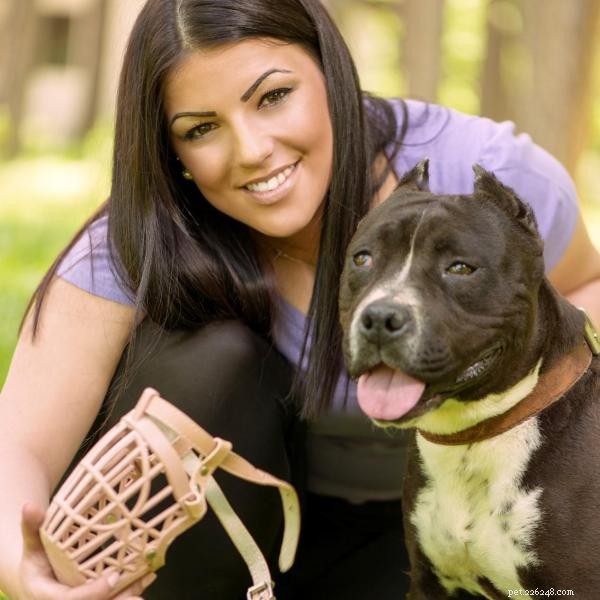 How to Effectively Train Your Dog to Wear a Muzzle