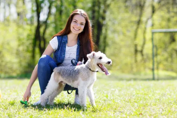 Create a Comprehensive Dog Ethogram: A Step‑by‑Step Guide for Trainers