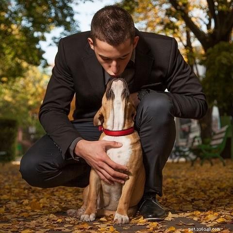 Mastering Classical Conditioning: Proven Dog Training Techniques