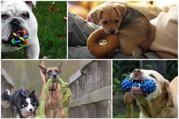 How to Stop Your Puppy from Biting: Proven Tips & Techniques