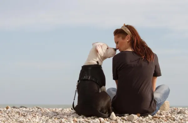 Build an Unbreakable Bond: Proven Ways to Earn Your Dog’s Love