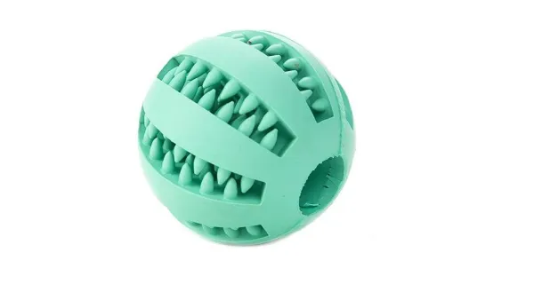 Tennis Balls and Your Dog: Potential Dental Risks and Safer Alternatives