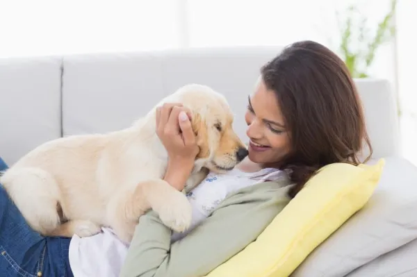 Train Your Dog to Pee in One Spot: Proven, Easy Steps