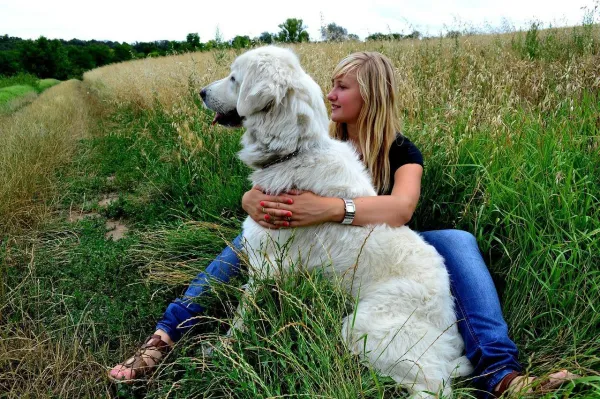 Why Does My Adult Dog Bite My Puppy? Understanding & Solving the Conflict