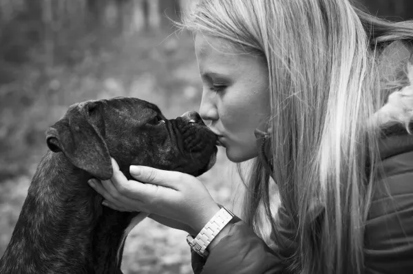 Effective Ways to Stop Your Dog from Jumping on People