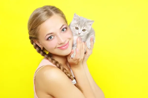 Positive Reinforcement in Cats: Proven Techniques for Effective Training