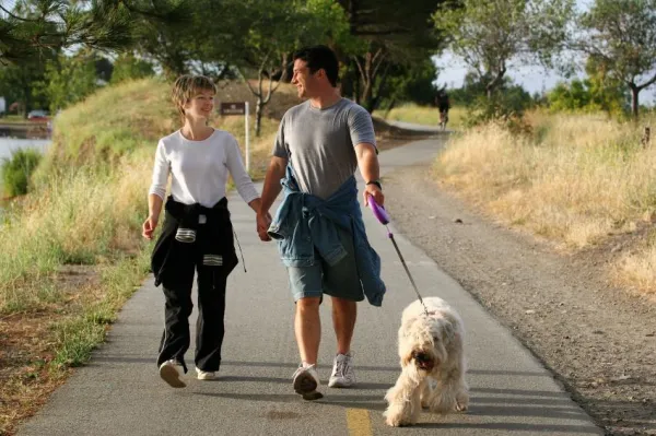 Proven Exercise & Nutrition Plan to Help Your Obese Dog Lose Weight Safely