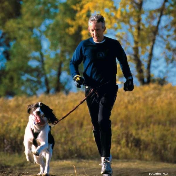 How to Begin Canicross Training: A Guide for You and Your Dog