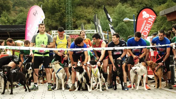 How to Begin Canicross Training: A Guide for You and Your Dog