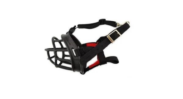 How to Choose the Best Muzzle for Your Dog: Comfort, Safety, and Legal Tips