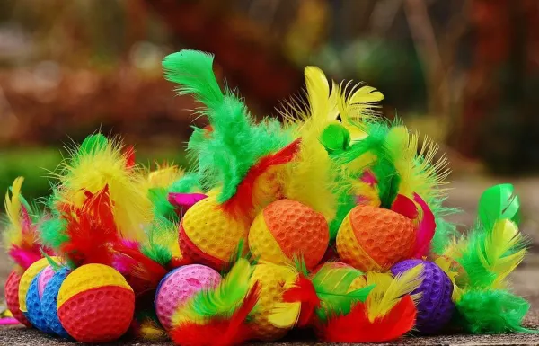 Cat Toy Guide: Engage, Energize, and Enrich Your Feline’s Playtime