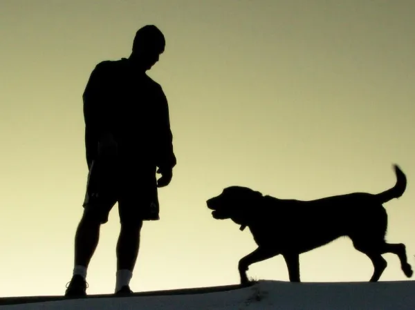 Fun & Safe Activities to Keep Your Senior Dog Active