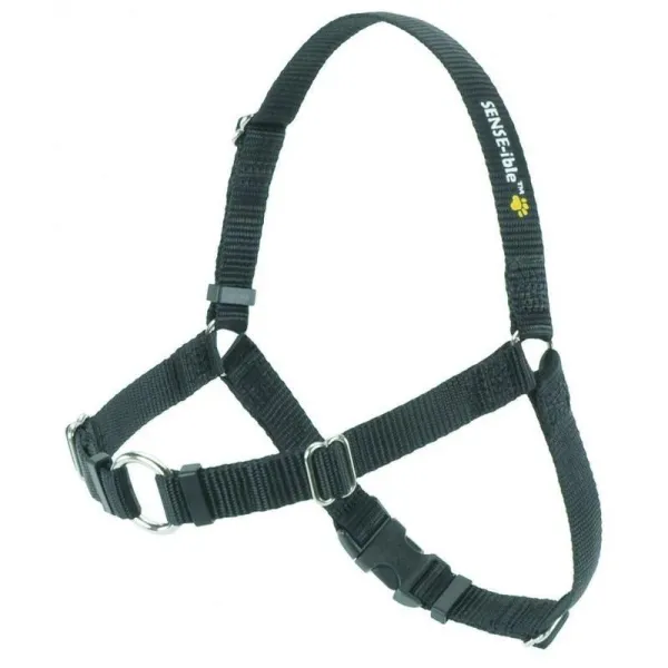 Master Multi‑Dog Walking: Expert Tips & Must‑Have Gear