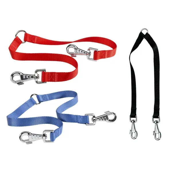 Master Multi‑Dog Walking: Expert Tips & Must‑Have Gear