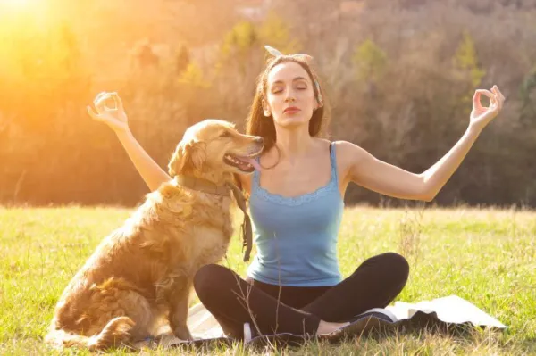 10 Clear Signs Your Dog Is Stressed and How to Help