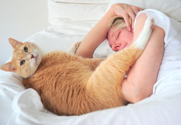 Why Does My Cat Wake You Up Early? Expert Answers & Proven Fixes