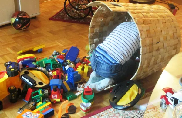Dog‑Safe Toy Guide: Avoid These Common Play Items
