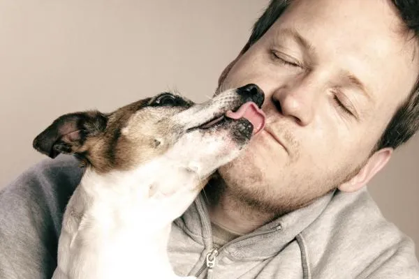 Why Does My Dog Eat Only When I m Home? Understanding and Fixing This Common Issue