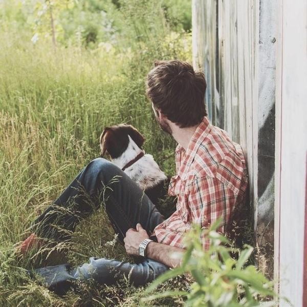 15 Common Dog Training Mistakes (and How to Fix Them)
