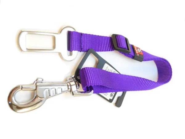 How to Help Your Dog Overcome Car Anxiety – Proven Tips