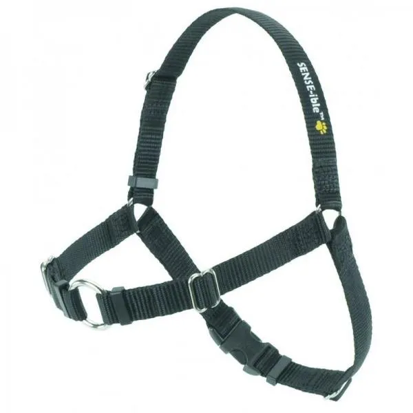 How to Stop Your Dog from Pulling on the Leash: Proven Tips & Equipment