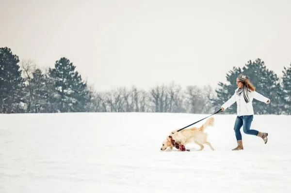 How to Stop Your Dog from Pulling on the Leash: Proven Tips & Equipment