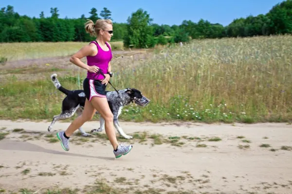 Effective Strategies to Stop Destructive Dog Behavior