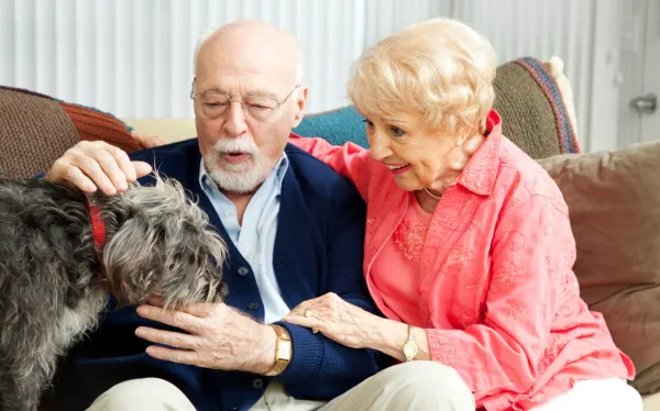 How to Apologize to Your Dog: A Guide to Rebuilding Trust and Strengthening Your Bond