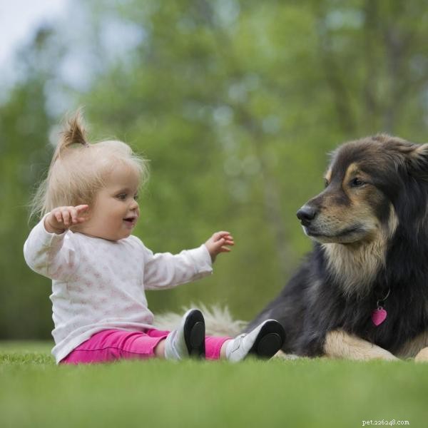 Introducing Your Dog to a New Baby: A Step-by-Step Guide for a Smooth Transition