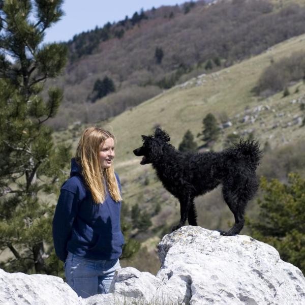 Master Dog Obedience: Proven Methods & Practical Tips