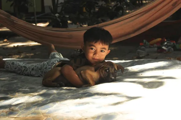 Understanding Dog Aggression Towards People: Causes and Effective Solutions
