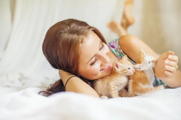 Determining the Ideal Number of Cats for Apartment Living