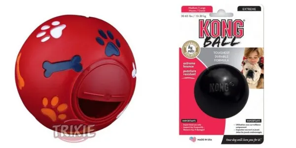 Durable Toys for Pit Bulls: Top Picks for Powerful Jaws