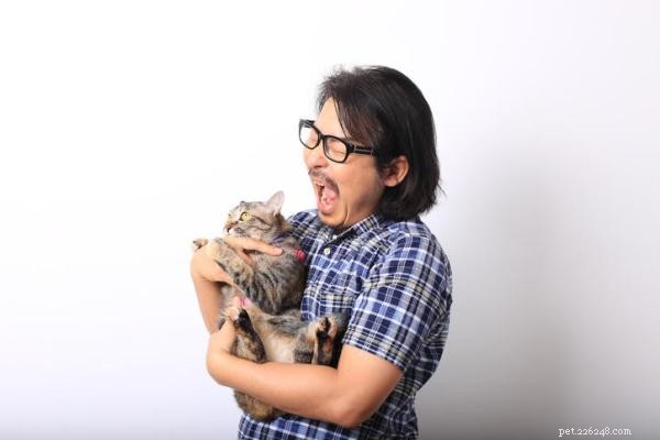 Stop Cat Biting Today: Expert Tips for Gentle, Playful Cats