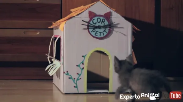 Create Your Own Cat Toys: Fun, Safe, and Easy DIY Projects