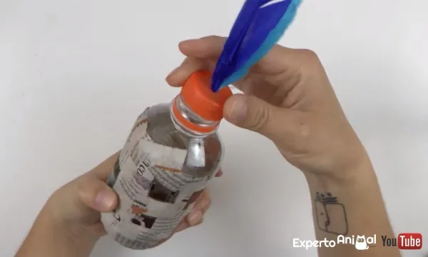 Create Your Own Cat Toys: Fun, Safe, and Easy DIY Projects