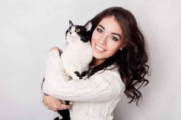 Why Does My Cat Hide From Everyone but Me? Unveiling Feline Fear and Simple Solutions