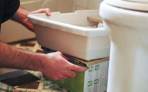 Step‑by‑Step Guide to Training Your Cat to Use the Toilet