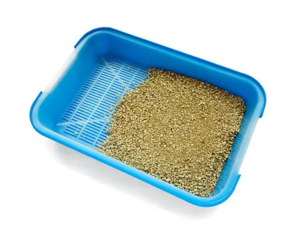 Step‑by‑Step Guide to Training Your Cat to Use the Toilet