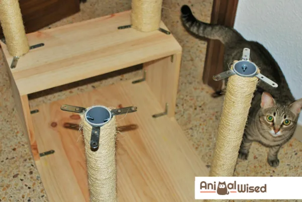 DIY Cat Scratching Post: Protect Your Furniture & Keep Your Kitty Happy