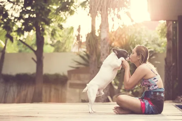 Do Dogs Truly Enjoy Kisses? A Scientific Look at Pet Affection