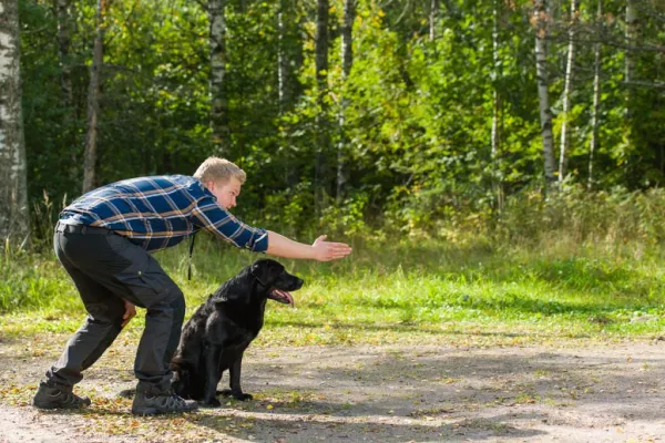 The Science Behind Why Dogs Roll in Dead Animal Remains
